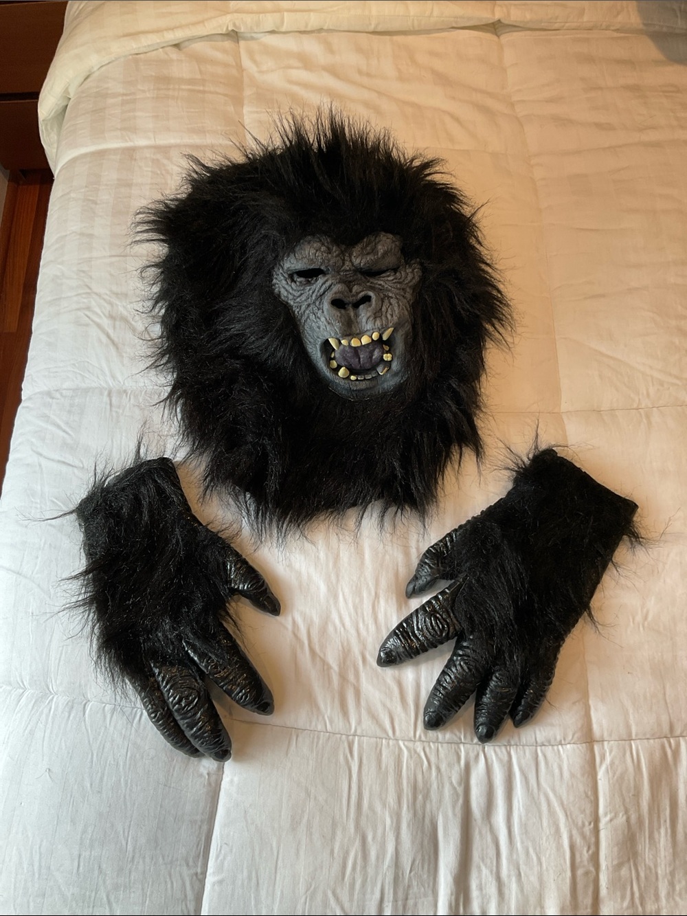 Adult Black Gorilla Mask and Glove Costume Set